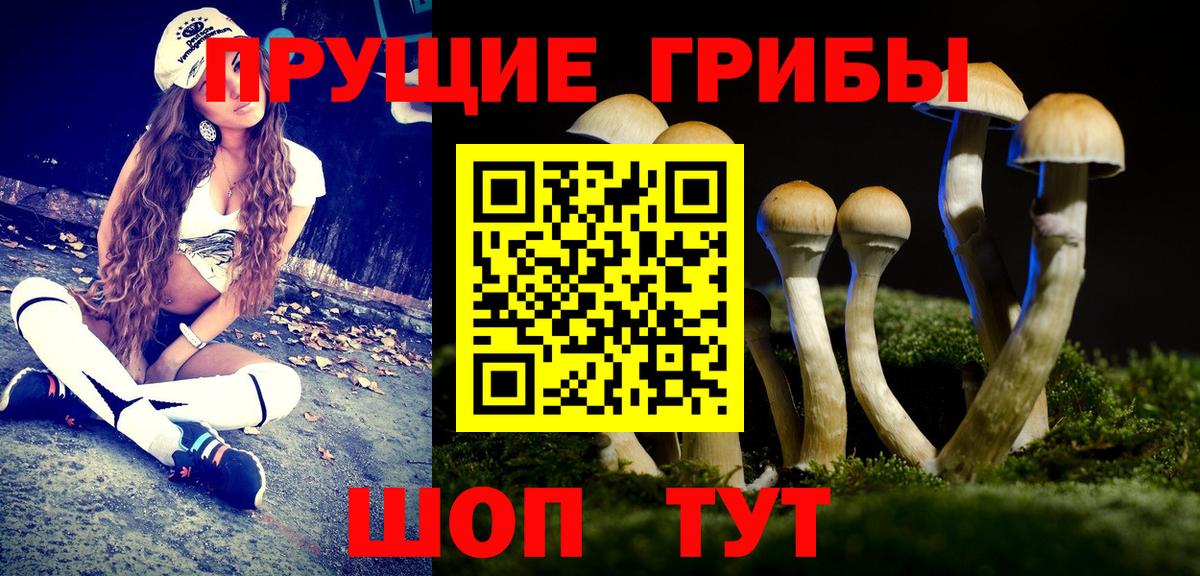 Галлюциногенные грибы мицелий Обнинск